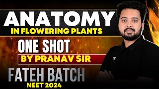 Anatomy in Flowering Plants  ONE SHOT  FATEH BATCH  NEET 2024 neet2024 [upl. by Maher]