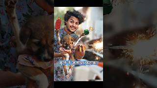 कुत्ते🐶मे मनाया Happy🎆Diwali  comedy diwalicomedy [upl. by Capello953]