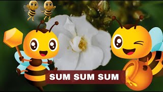 SUM SUM SUM BIENCHEN SUM HERUM [upl. by Eupheemia707]