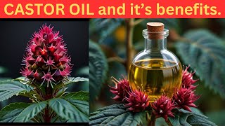 Reverse your ageing process with CASTOR OIL [upl. by Ahsiekat]