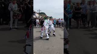 Sidmouth Folk Festival 2024 [upl. by Ocirederf966]