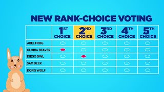 Rank Choice Voting Explained [upl. by Lemrac319]