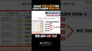 2024년 기초수급자 드디어 확정 수급 대상과 수급비 역대급 인상 [upl. by Lomaj877]