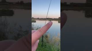 Zestawy stacjonarne na suma wędkarstwo ryby fishing sum [upl. by Ayiotal]