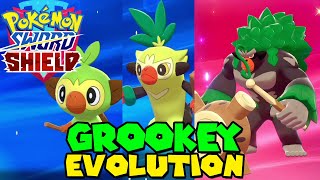 Evovling GROOKEY to RILLABOOM in Pokemon Sword amp Shield [upl. by Radec]