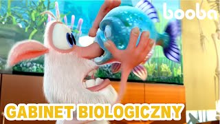 Gabinet biologiczny 🍿 Zabawne Kreskówki 🍿 Booba 🍿 Super Toons TV Po Polsku [upl. by Calla557]