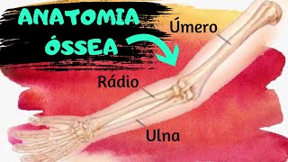 AULA 48 ANATOMIA ÓSSEA DO ÚMERO RÁDIO E ULNA [upl. by Wagshul93]