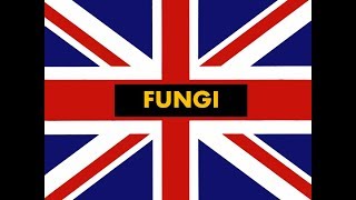 How to pronounce quot Fungi quot in English Authentic British accent [upl. by Akeimahs]