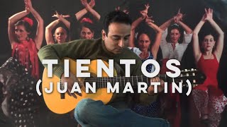 Tientos Juan Martin [upl. by Nayab919]