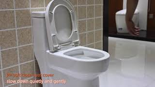 luxury rimless toilet wc for bathroom [upl. by Nesbitt]