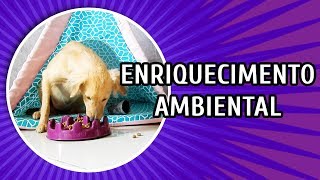 Enriquecimento Ambiental para Cachorros Você sabe o que é [upl. by Meara]