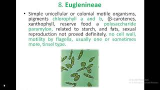 classification of algae by Fritsch [upl. by Ahsienauq]