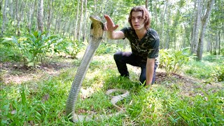 Surviving with Giant KING COBRA in Jungle of BALI [upl. by Scheers]