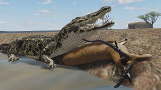 Life of a Nile Crocodile  Wild Savannah [upl. by Rialcnis169]