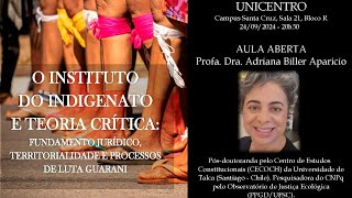 O INSTITUTO DO INDIGENATO E TEORIA CRÍTICA FUNDAMENTO JURÍDICO E TERRITORIALIDADE NA LUTA GUARANI [upl. by Nylzzaj18]