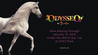 ABC7 Presents Discover Odysseo by Cavalia [upl. by Greenwell877]