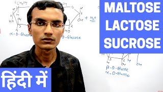 Disaccharides  Maltose Lactose and Sucrose in Hindi [upl. by Eninotna]