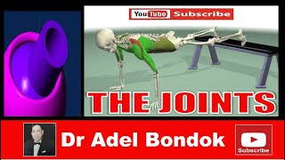 Anatomy of the Joints Dr Adel Bondok [upl. by Penelope]