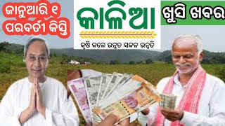 kalia yojana new date payment realease [upl. by Banquer]