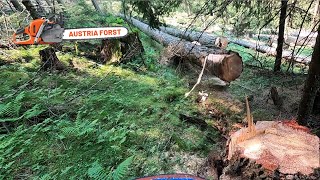 Holzfällen für Seilbahn [upl. by Charron]