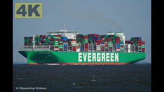 EVER MEED  Shipspotting Germany 🇩🇪 IMO 9935258  River Elbe near City Otterndorf  4K VIDEO [upl. by Fauch87]