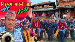 असली देउसीभैलो हेर्नुस् मारुनी नचरी सोरठी  Maruni Dance Sorathi Dance Nachari Bhuwan Singh Thapa [upl. by Croteau]