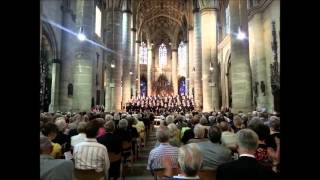 Thomanerchor Leipzig quotJesu meine Freudequot J S Bach  HeiligKreuzMünster Schwäbisch Gmünd 2014 [upl. by Lilas446]