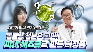 따뜻한의료기기이야기 비건들 주목할만한 식물성 미세 해조류로 만든 메디컬 화장품 [upl. by Llezom464]