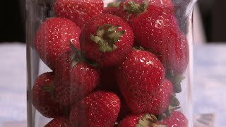 How to extract DNA from strawberries [upl. by Nosbig]