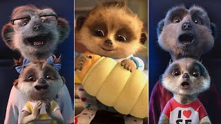 Funny Meerkat Pups Oleg and Ayana Compare The Market Commercials [upl. by Lilybel910]