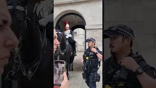 Tourist Went Through The Horse box at Horse Guards in London [upl. by Aneba]