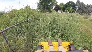 Cutting Real Tall Grass Hustler Raptor Zero Turn [upl. by Noel454]