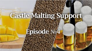 Distilling Malt vs Pilsen 2RS  How to add Mango Flavour to beer  Kolsch malt for brewing Kölsch [upl. by Netsyrk]