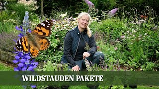 Wild und wunderbar  Nachhaltige Wildstauden Pakete für jeden Garten [upl. by Eilujna691]