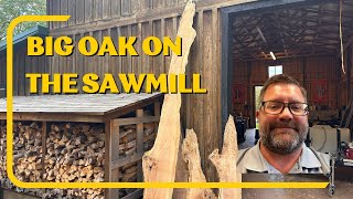 Long Oak on the Mill countrylife sawmill sawmillbusiness Sawyer timberking woodwork wood [upl. by Gordy]