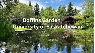 University of Saskatchewan Boffins Garden [upl. by Yecram]