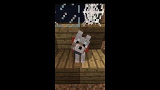 When You Leave Your Minecraft Dog [upl. by Atenahs987]