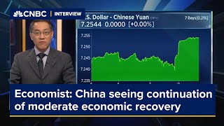 China is experiencing a continuation of moderate economic recovery economist says [upl. by Lynnell44]