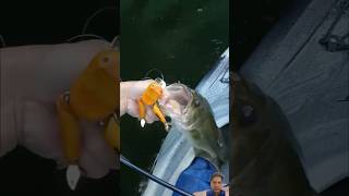 fishing fishinglife bigfish fishingtechniques carpfishing [upl. by Anaitak]