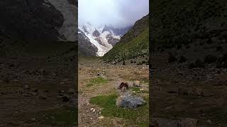 herrlingkoffer base camp rupal face nanga parbat astore gilgitbaltistan pakistan [upl. by Hynes]