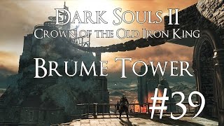 Dark Souls 2 DLC II CotOIK PC 100 Walkthrough 39  Brume Tower  Destroying Ashen Idols [upl. by Eniamurt]