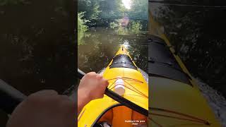 hamburg alster kayak paddling river kayaking germany water [upl. by Savadove]