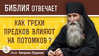 Как ГРЕХИ ПРЕДКОВ влияют на потомков  Инок Киприан Бурков [upl. by Zaraf]