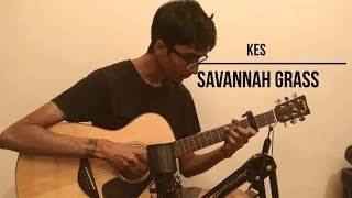 Kes  Savannah Grass  Fingerstyle Guitar Cover [upl. by Lodnar]