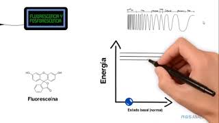 FLUORESCENCIA FOSFORESCENCIA [upl. by Breskin]