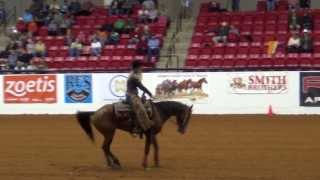 Wylene Wilson Davis  Mustang Million Reining [upl. by Pinelli]