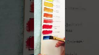 Mont marte acrylic paint 18 pc color swatch music song colortone [upl. by Osnofedli]