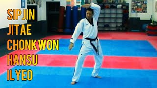 Poomsae SIPJIN JITAE CHONKWON HANSU ILYEO by MASTER ANDRE LIMA Los Angeles 2009 TAEKWONDO WT FORMS [upl. by Zap860]