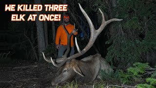 Mindblowing TRIPBULL Colorado Elk Adventure [upl. by Anirres]