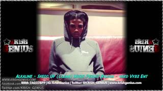 Alkaline  Shegg Up Clean Work Permit Riddim  April 2014 [upl. by Stalder]